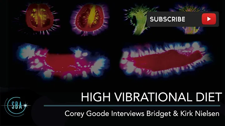 Bridget Nielsen & Corey Goode - High Vibration Die...