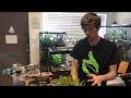 How to build a bioactive terrarium for Amazon Tree Boas. Self-cleaning, self-maintaining.