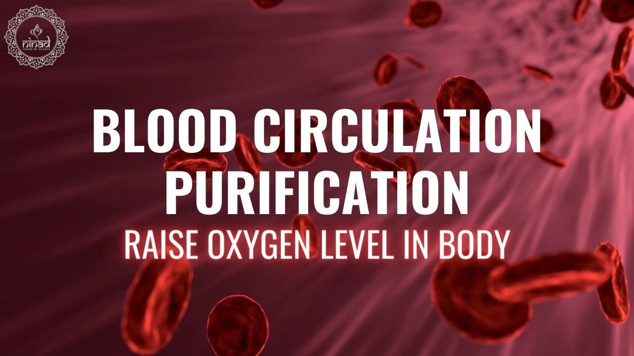 Blood Circulation Purification | Raise Oxygen Level in Body | Increase