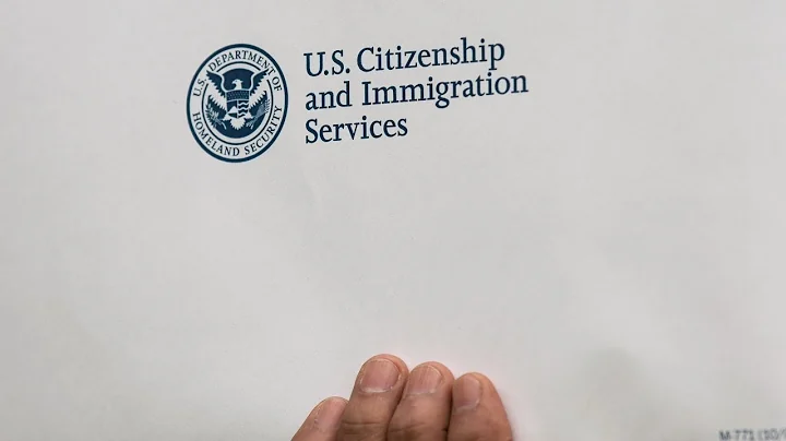 What are undocumented immigrants' legal options?