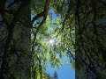 Enjoying the beauty of nature... & you look up & see this... moments like this surprise me!