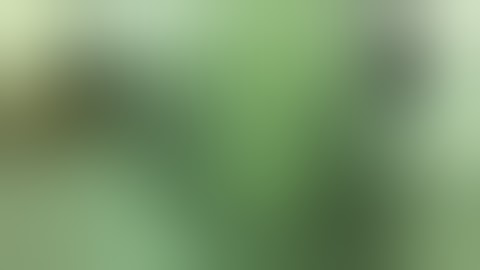 Hand towel paper film wrapping machine(scott21040@163.com)#soontrue#handtowel