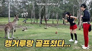 2026.03.13 [EP3] Sydney. Riverside Oaks CC. 티샷 치려는데 캥거루가… | 시드니 골프 🇦🇺