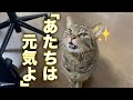 連休最終日いかがお過ごしですか?