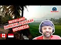 Suasana Keindahan Alam Desa, ini Bagaikan Lukisan yang Nyata | MR Halal Reaction