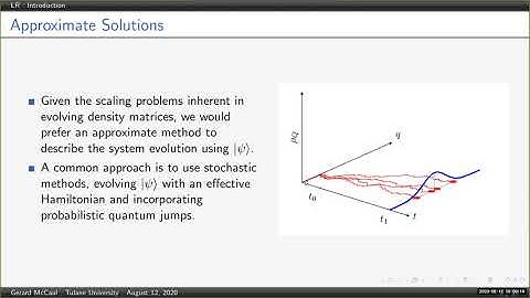 Gerard McCaul: Low-rank approximations for open system evolution