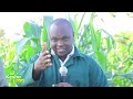 TBC KIPINDI KESHO BORA FURSA ZA HAIPPA KWA MKULIMA 