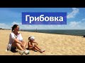 ГРИБОВКА 2022 - отдых летом у моря: пляж, цены, еда, отели.