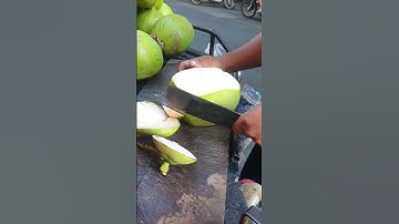 Best Machetes for Coconut Opening: A Practical Comparison