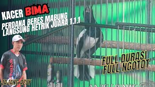 KACER BIMA•PERDANA BERES MABUNG •LANGSUNG HETRIK JUARA 1.1.1 •FUL DURASI FUL NGOTOT