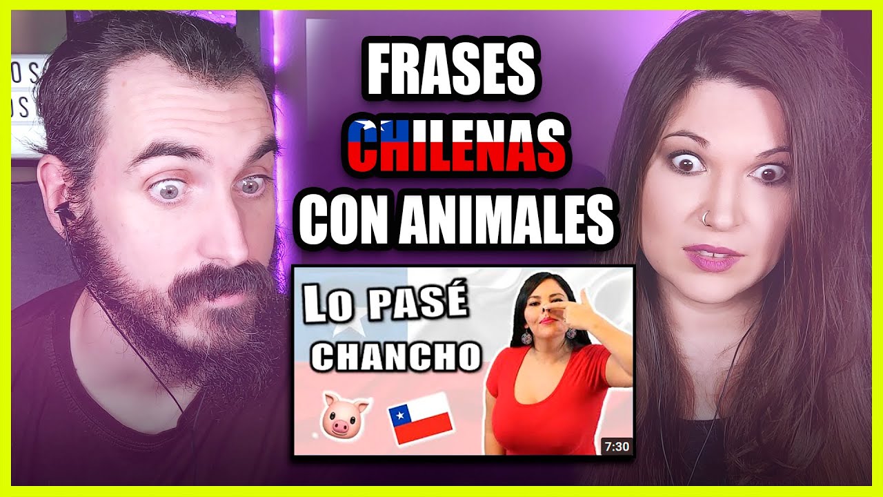 ? FRASES CHILENAS con ANIMALES [Aprender Español Chileno] | Somos Curiosos  - YouTube