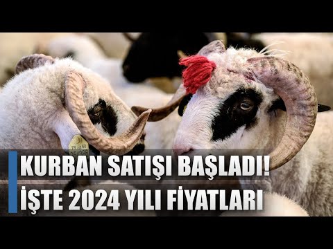 Kurbanlık Satışları Başladı! İşte 2024 Yılı Kurbanlık Fiyatları! / AGRO TV HABER