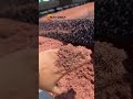 This Machine Extracts Copper from Jelly Cables Instantly #satisfying #recycling #shorts