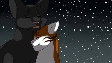 I hate u I love u //Crowfeather Leafpool MAP[part 24]