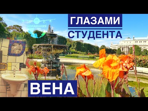 Что посмотреть в Вене | Австрия ГЛАЗАМИ МЕСТНЫХ Localie | #Авиамания