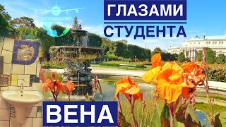 Что посмотреть в Вене | Австрия ГЛАЗАМИ МЕСТНЫХ Localie | #Авиамания