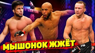 НОКАУТЫ в UFC/Сехудо отказ от угла Петра Яна/Диметриус Джонсон-Родтанг Джитмуангнон/Блейдс Дакас