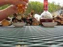 Honey or Vinegar?