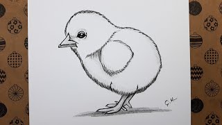 How to Draw Easy Chick Picture Step by Step, Pencil Charcoal Drawings Easy