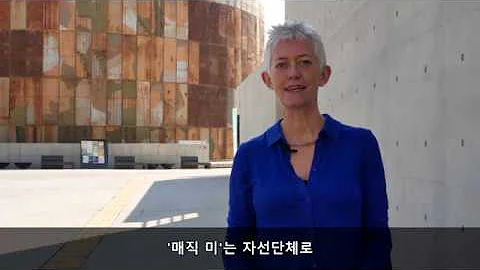 [Interview with Susan Lanford MBE]  (Director, Mag...