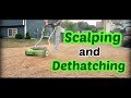 Scalping and Dethatching After Killing The Lawn - Lawn Renovation Step 3