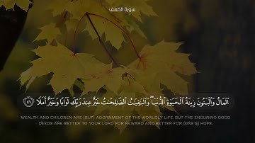 حالات واتس قران كريم | محمد صديق المنشاوي | المال و البنون زينة الحياة الدنيا | سورة الكهف