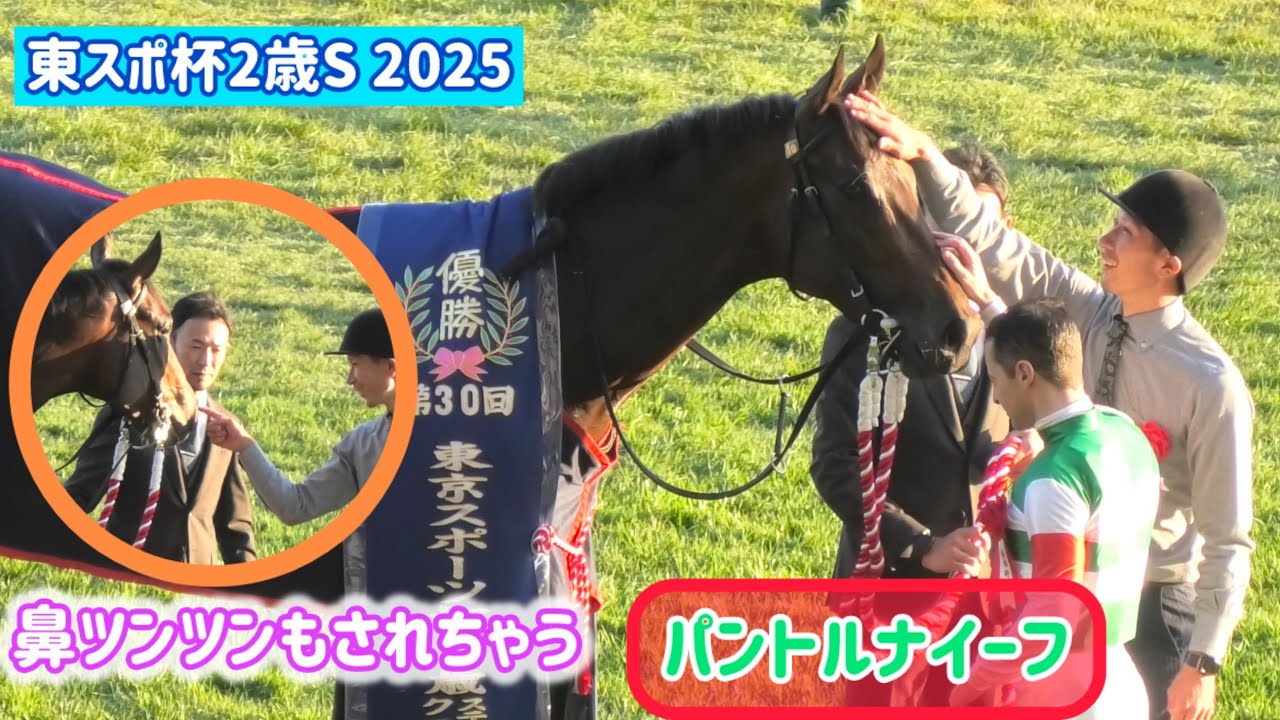 東スポ杯2歳S 2025】大人しくみんなになでなでされて鼻ツンツンもされ