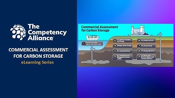 Commercial Assessment of Carbon Storage