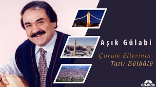 Aşık Gülabi - Çorum Ellerinin Tatlı Bülbülü Resimi