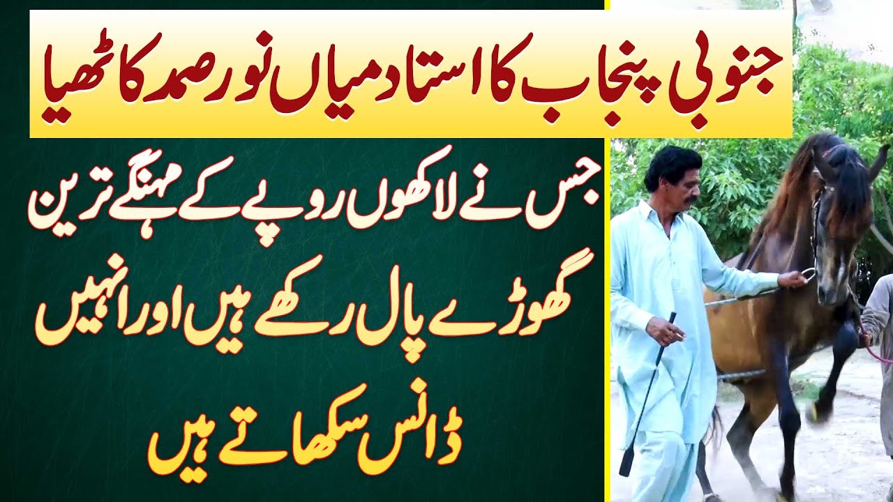 South Punjab Ke Ustad Noor Samad Kathia Jis Ne Expensive Horses Paal