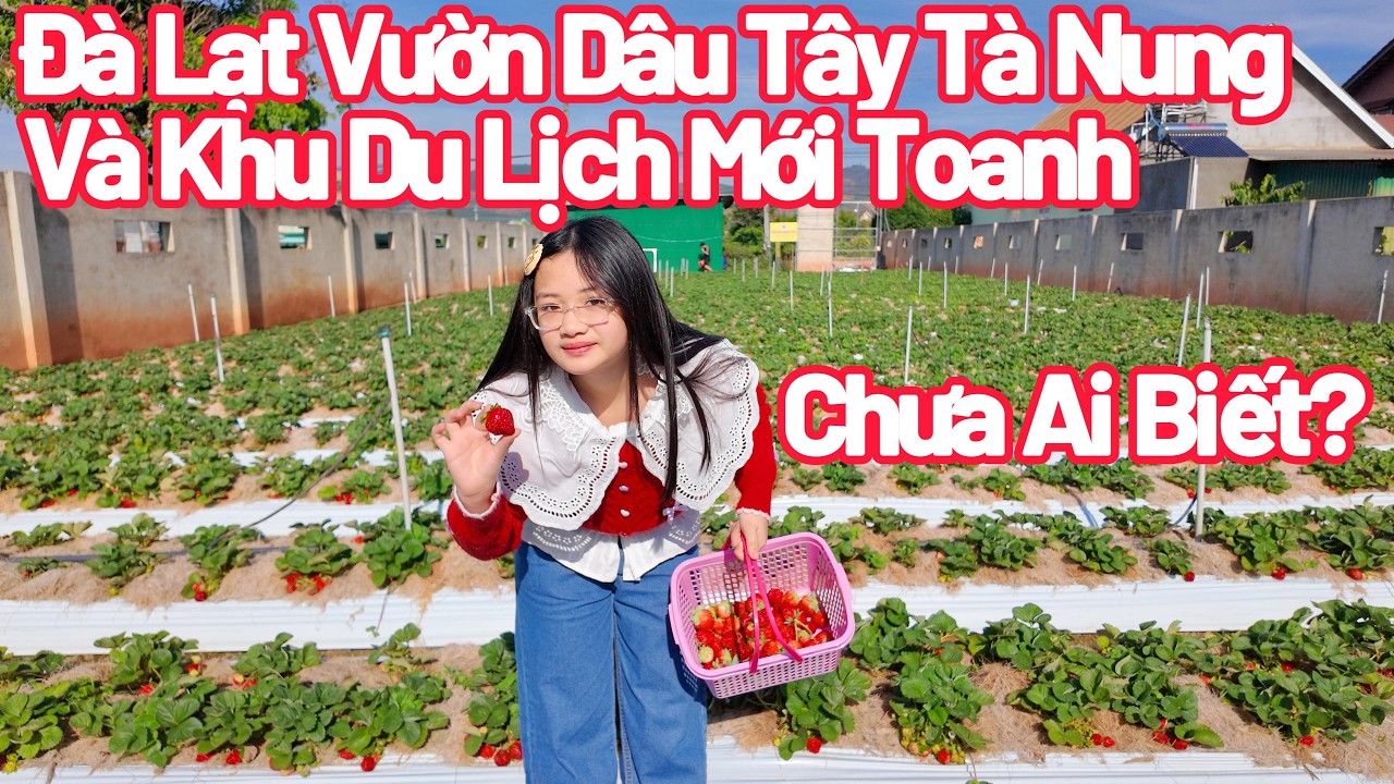 Đà Lạt Vườn Dâu Tây Và Khu Du Lịch Mới Toanh Chưa Ai Biết!