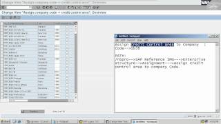 Assign Company Code to Credit Control Area screenshot 5