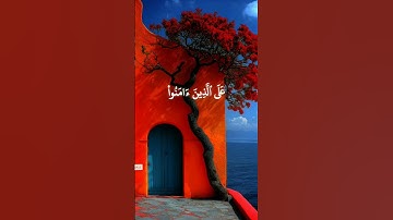 إكتب شئ تؤجر عليه ❤️ #تلاوة_خاشعة 🎧