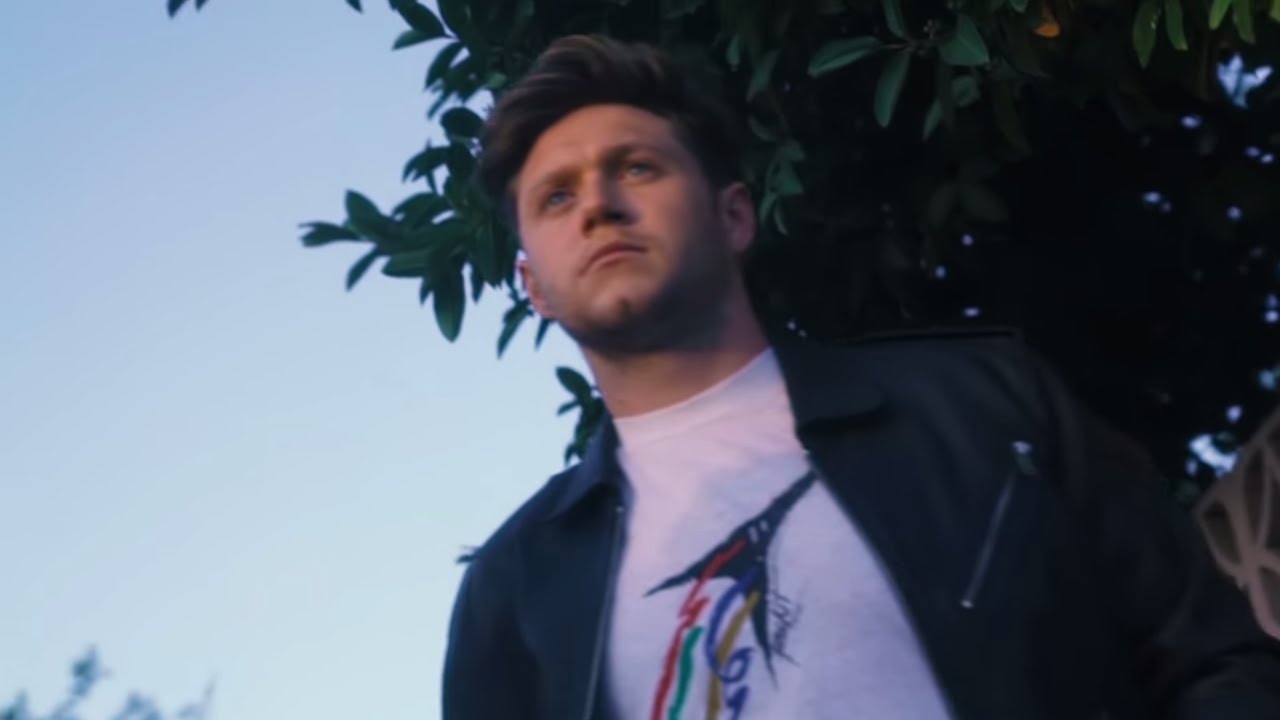 Arti Lirik dan Terjemahan Niall Horan - Dear Patience