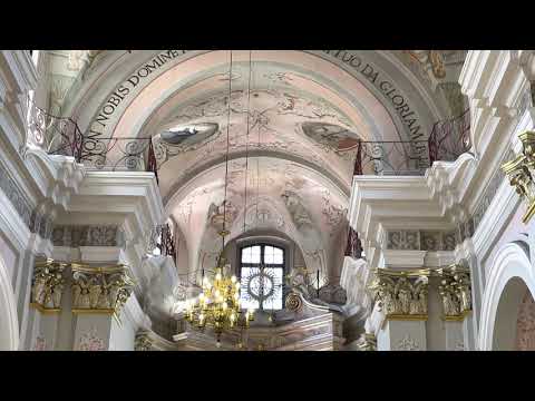 Video: Cathedral of Saint Virgin Mary description and photos - Belarus: Minsk