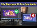 Color Management &amp; Human Vision (English)