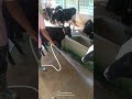 farming #farming #viral #foryou #ytshorts #ytstudio