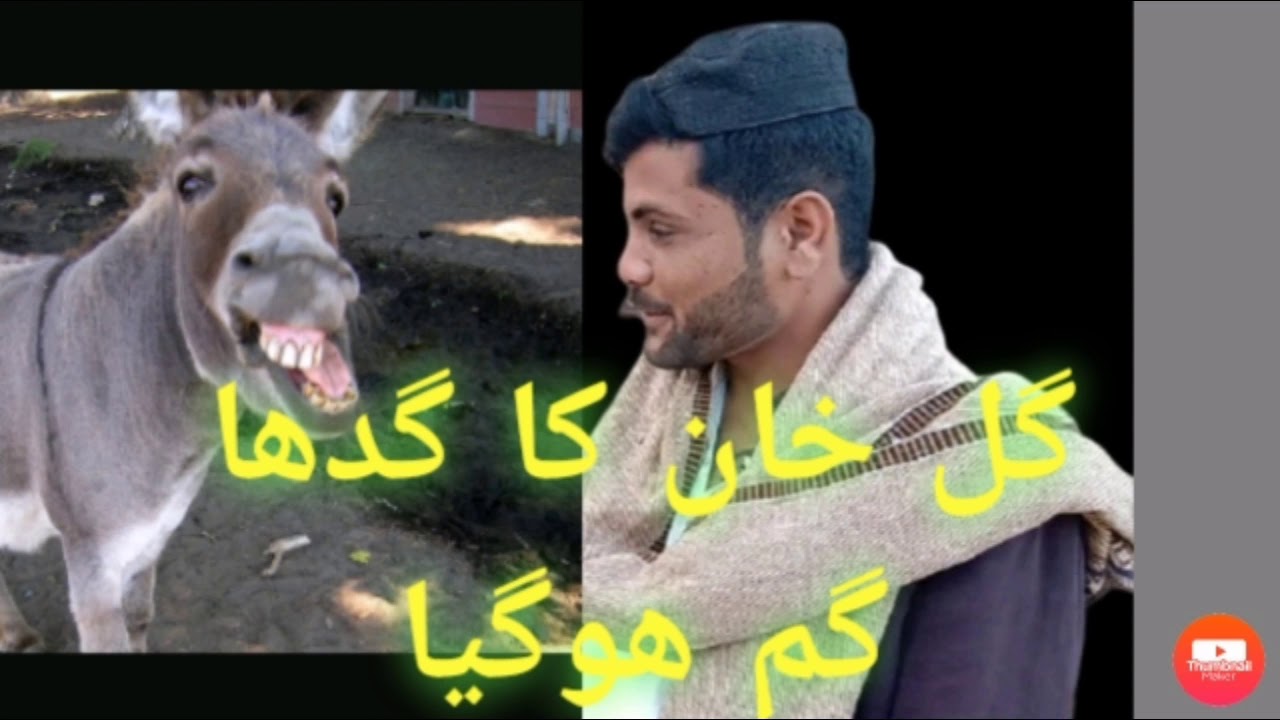 gull khan ka gadaha gum hogya |funny video | gareeb Adakar