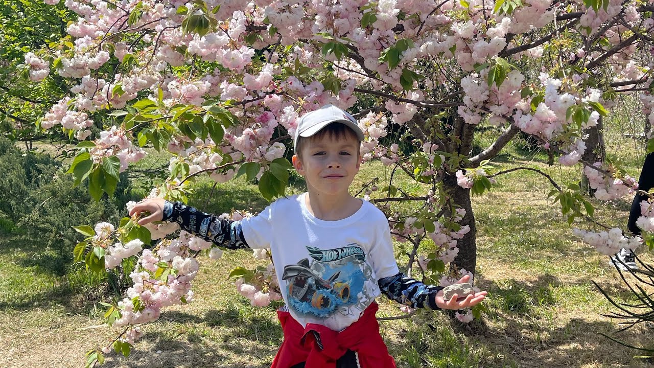 Как выбрать домокомплекты в Сочах Как выбрать домокомплекты в Сочах