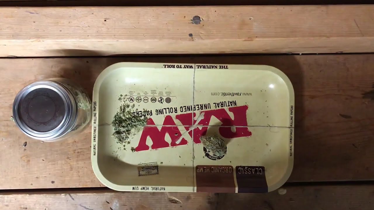 Roll 7 - Tulip Joint - a sad attempt