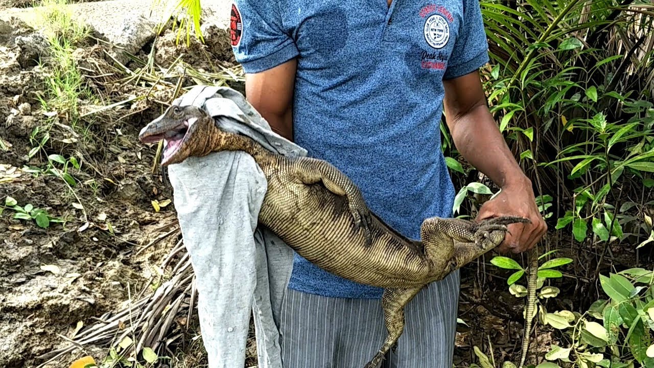 ดูให้จบ@มีช็อตเด็ด!กับดักแลน?ไม่มีพลาด!!