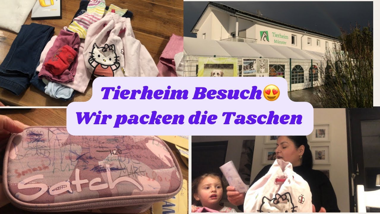 Wir waren im Tierheim 🐈 🐕| Die Taschen packen angesagt| Vlog | toniebox | Familien Alltag 🙂