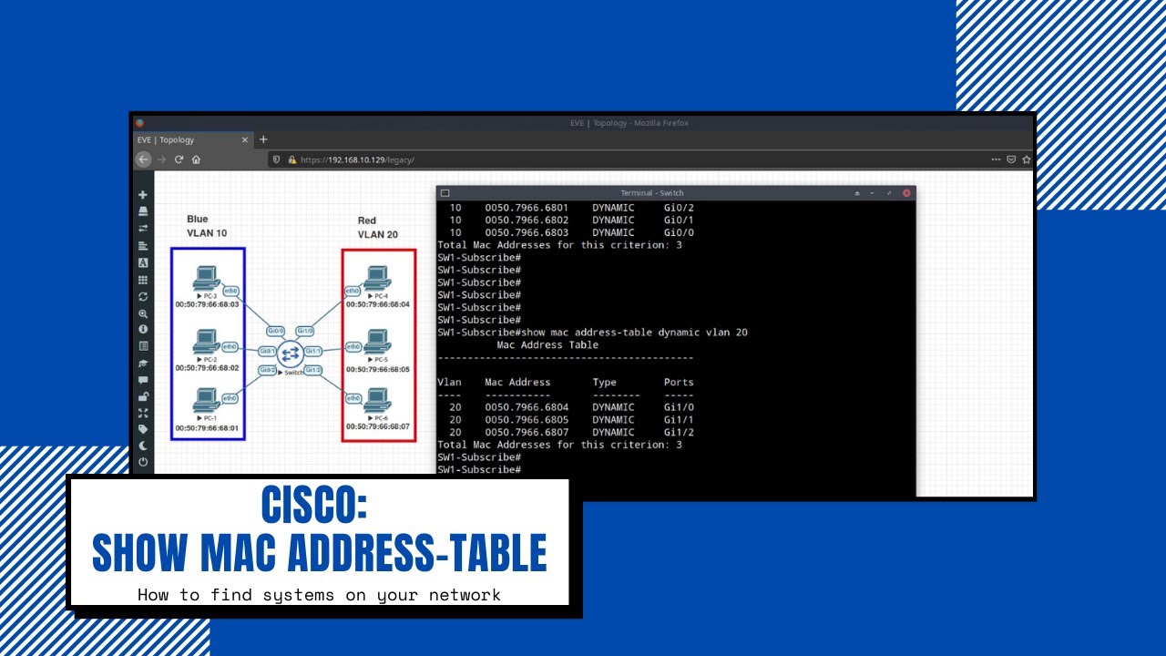 cisco mac address table associated vlan