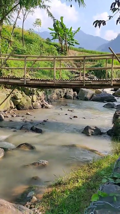 Asyiknya Makan Mie dipinggir sungai#shortvideo #pedesaanjawabarat #aliekapro79