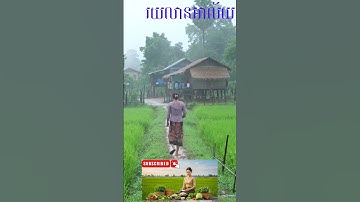 The #1 Category 1 Mistake That Could Cost You THOUSANDS #video #youtube #music