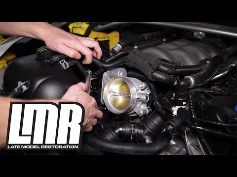 2015-17 Mustang GT Ford Performance Stage 2 Power Pack (M-9603-M8A) - Review & Dyno