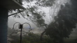 Wind too much for the spruce tree Cedar Rapids Derecho Aug 10, 2020