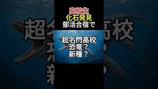 高校生が化石発見、部活合宿で【雷獣】