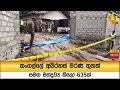 තංගල්ලේ|sin