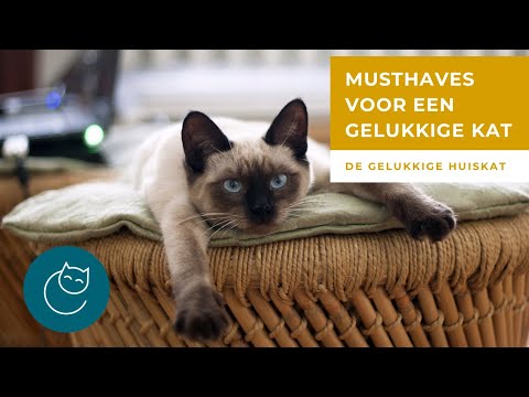 Video: Waarom Je Eigenlijk Een Kattenluik Nodig Hebt